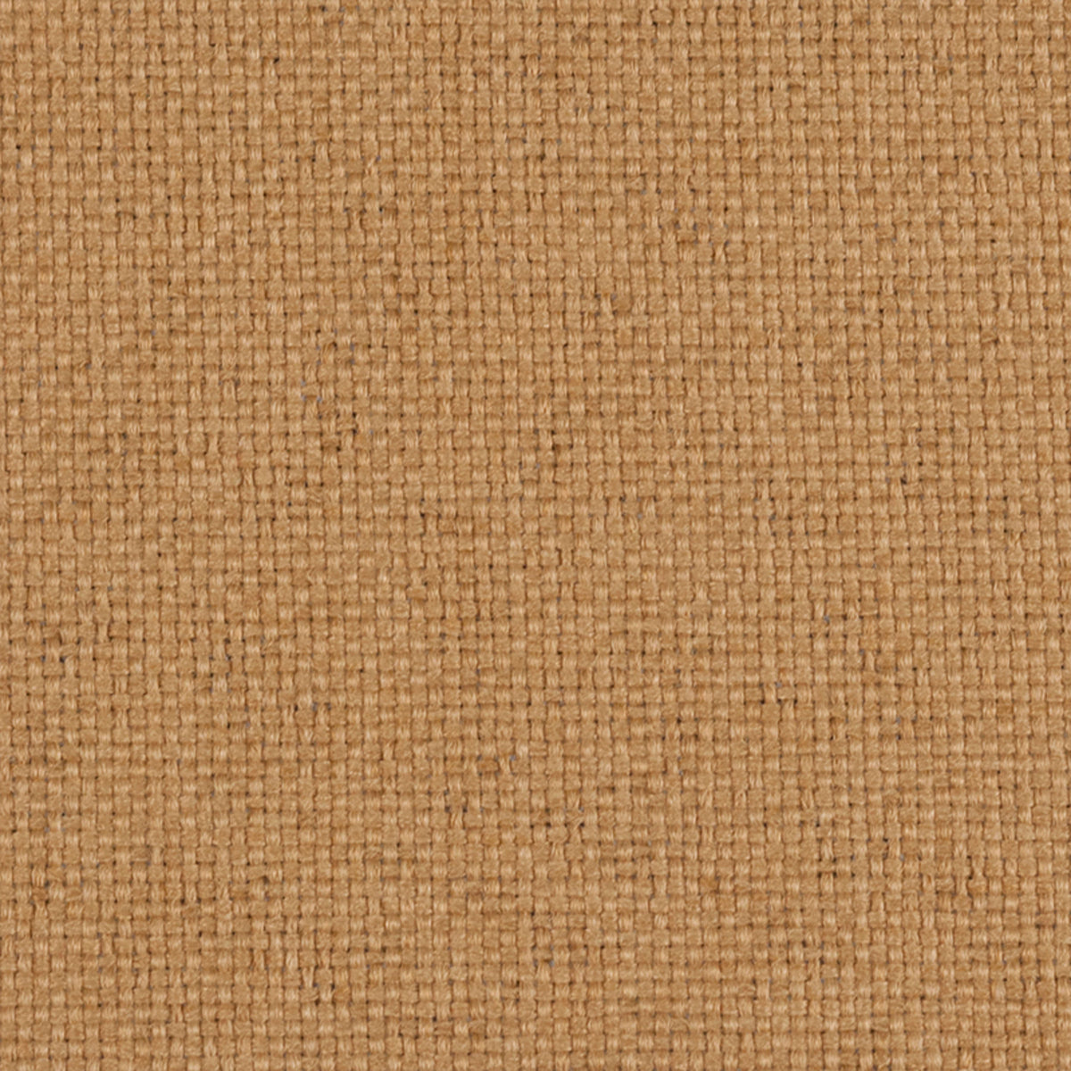 Sherpa Amber Fabric |#| 